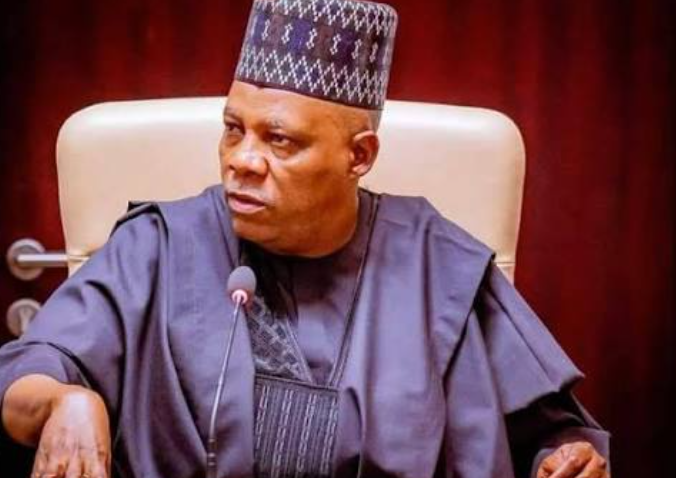 Nigeria Needs $410bn for Green Energy Transition